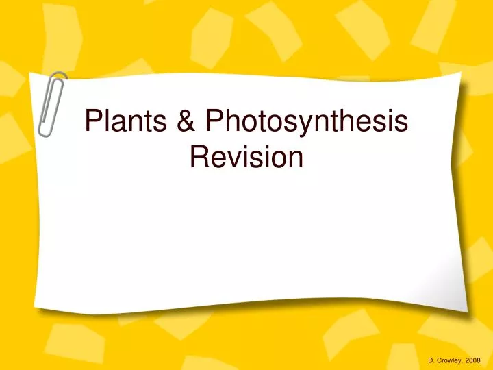 plants photosynthesis revision n.