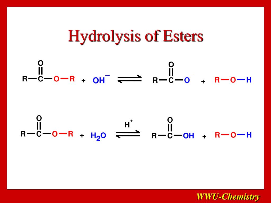 hydroylysis of esters vs ethers