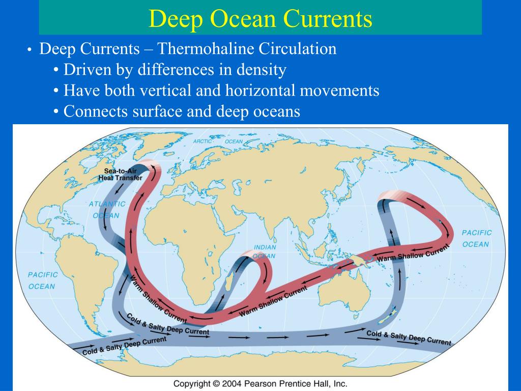 Ocean Currents Diagram