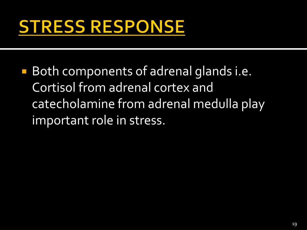 PPT ADRENAL MEDULLA & STRESS RESPONSE PowerPoint Presentation ID