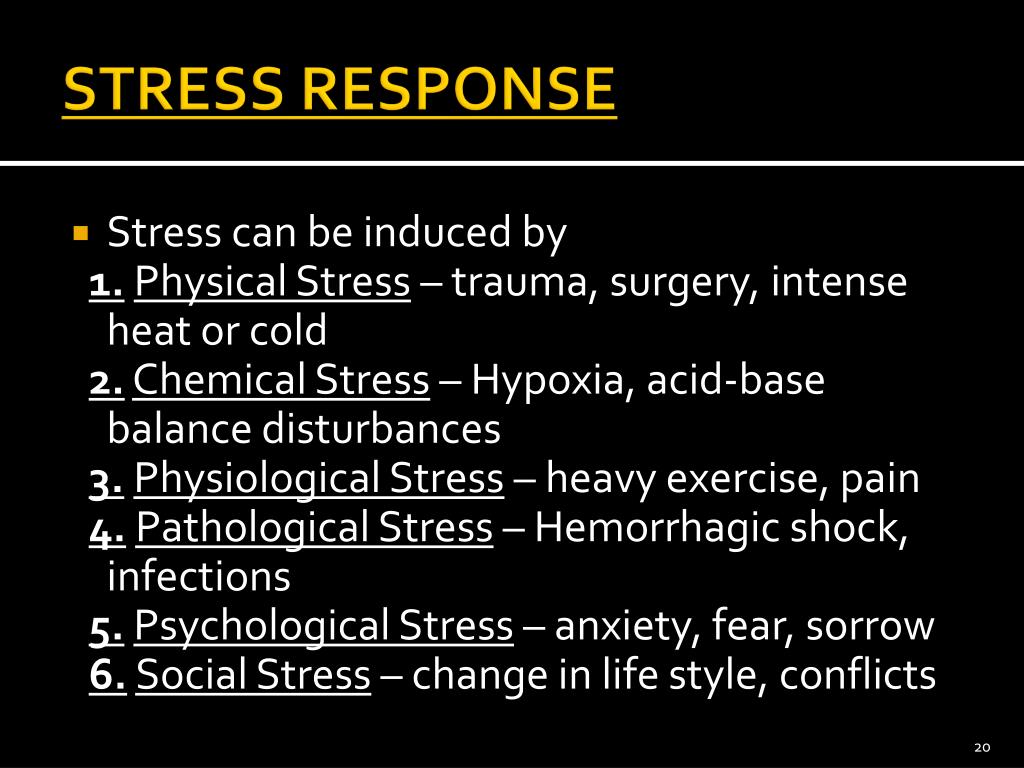 PPT ADRENAL MEDULLA & STRESS RESPONSE PowerPoint Presentation ID