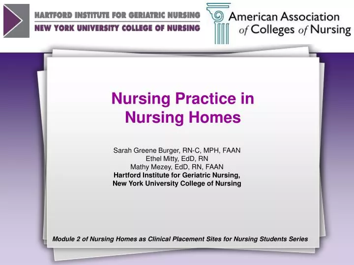 nursing practice in nursing homes n.