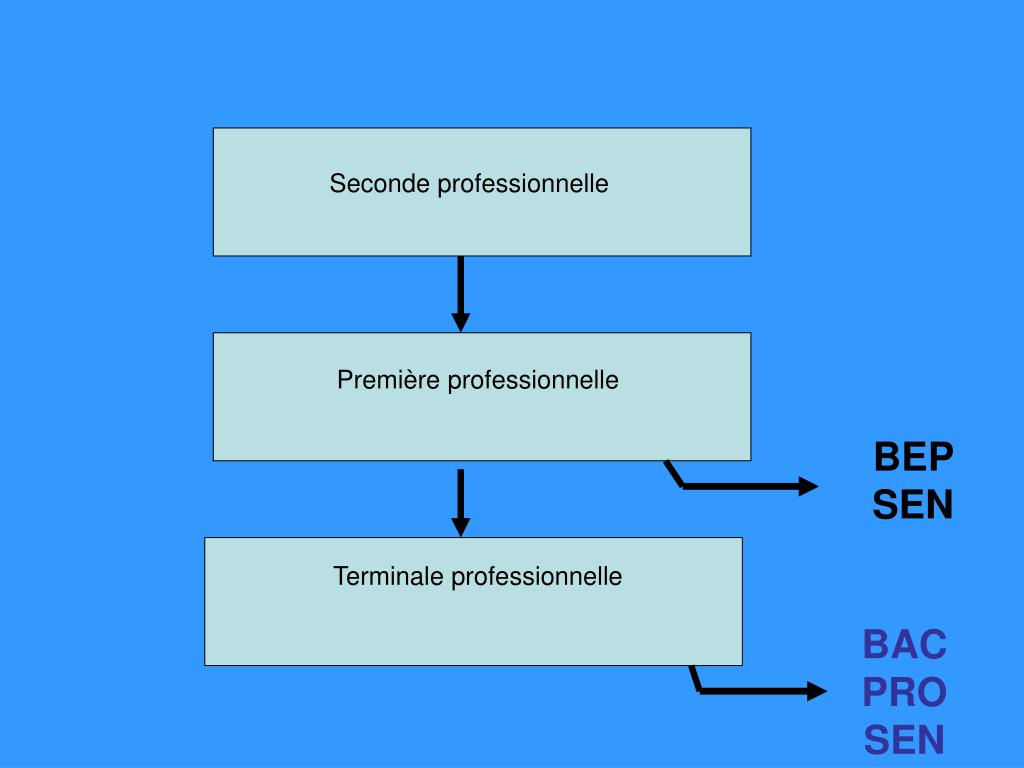 Seconde Pro PPT - Le BAC Pro SEN ASI ( S ystèmes É lectroniques N umériques) A ...