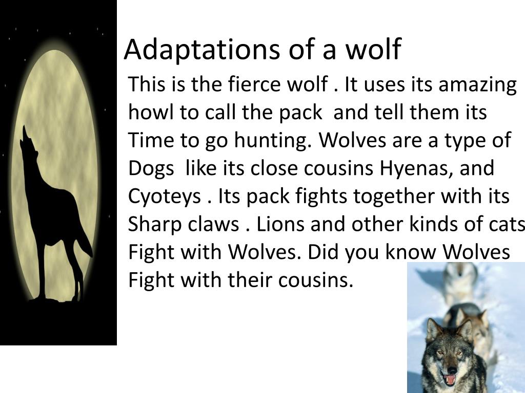 PPT - Georgia plant and animal adaptations powerpoint PowerPoint ...