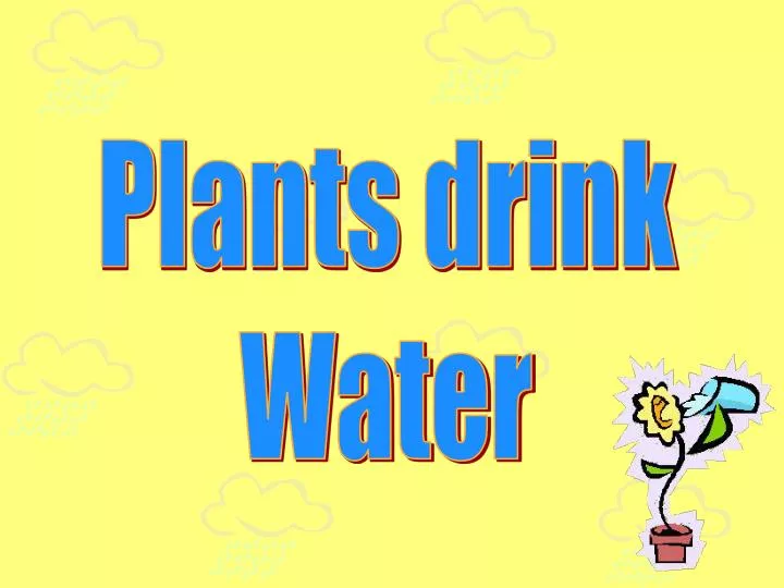 PPT Plants drink Water PowerPoint Presentation, free download ID1833964