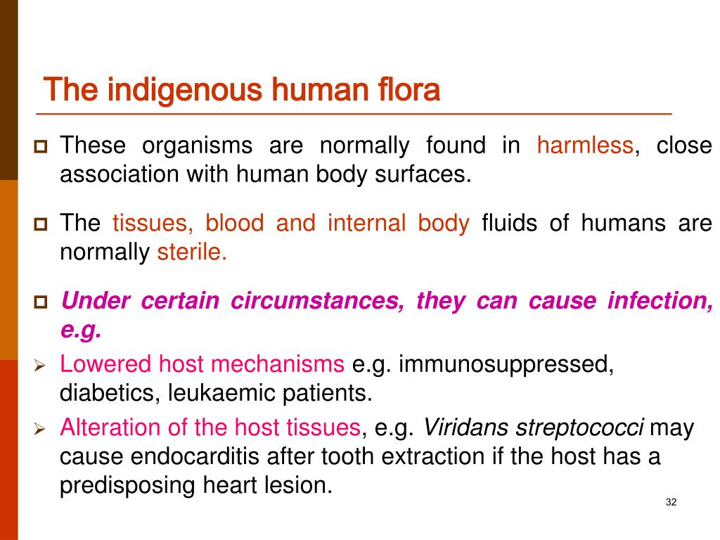 PPT - Biology of Microorganisms PowerPoint Presentation, free download
