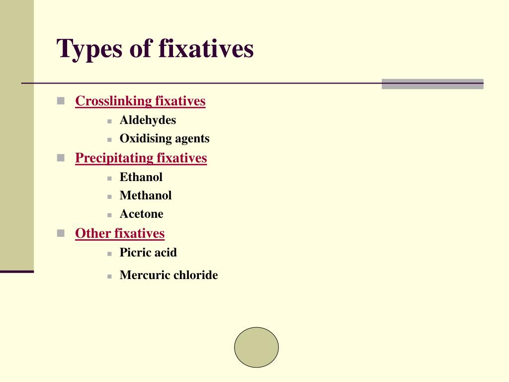 PPT Fixation PowerPoint Presentation, free download ID1834047