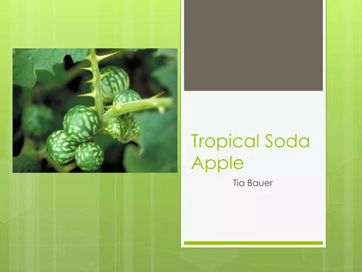 Ppt Tropical Soda Apple Powerpoint Presentation Free Download Id 1835249