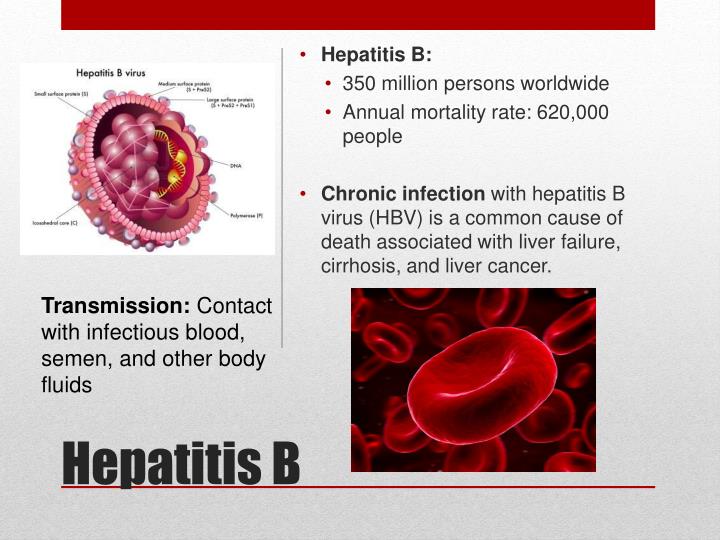 how is hepatitis b transmitted
