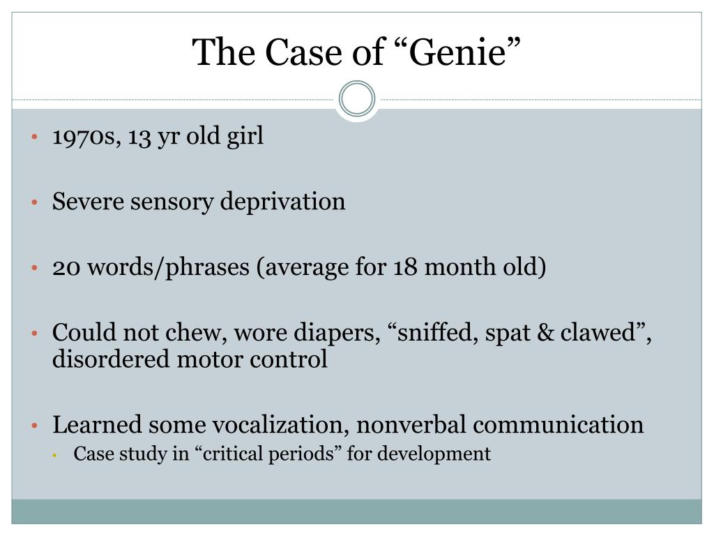 genie attachment case study