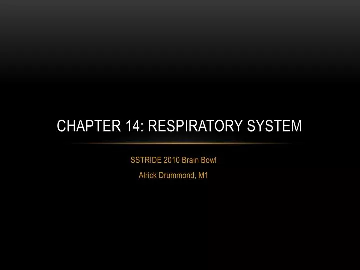 PPT - Chapter 14: Respiratory System PowerPoint Presentation, free ...