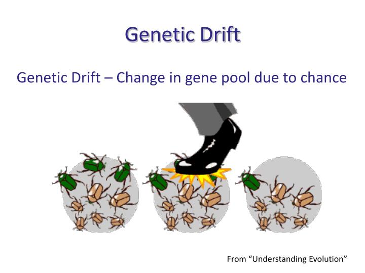 Why Is Heritability Important For Natural Selection Why Is Heritability Important For Natural Selection