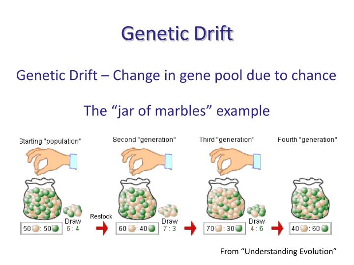 Why Genetic Variation Is Important For Natural Selection Why Genetic Variation Is Important For Natural Selection