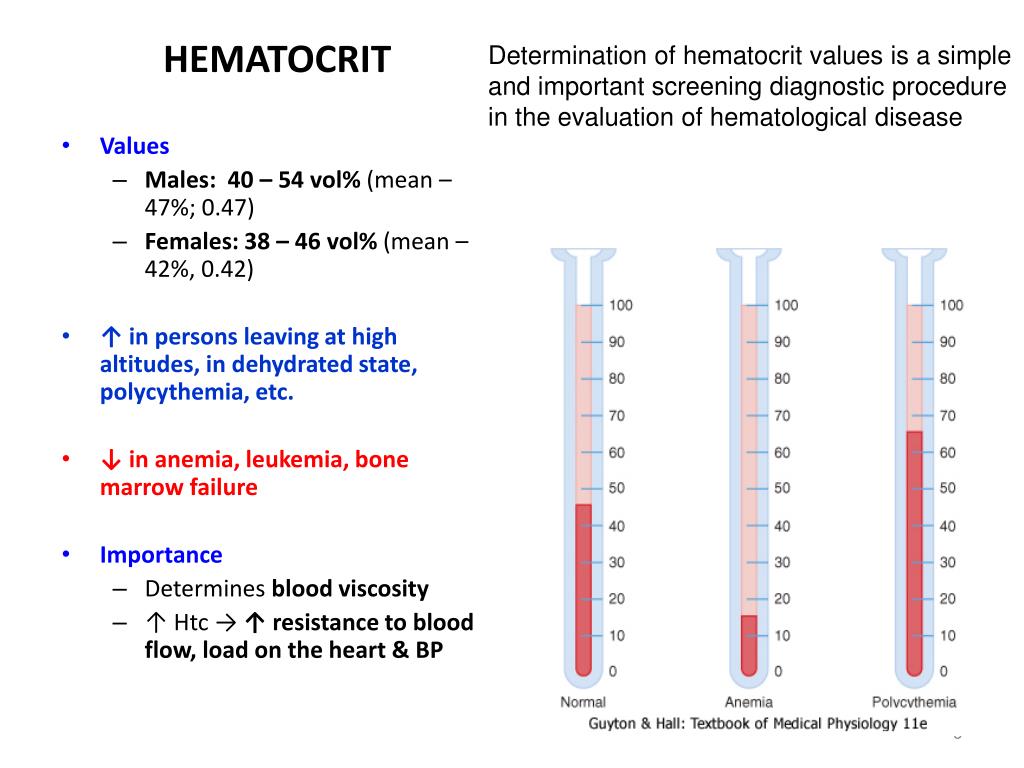 Hematocrite basse