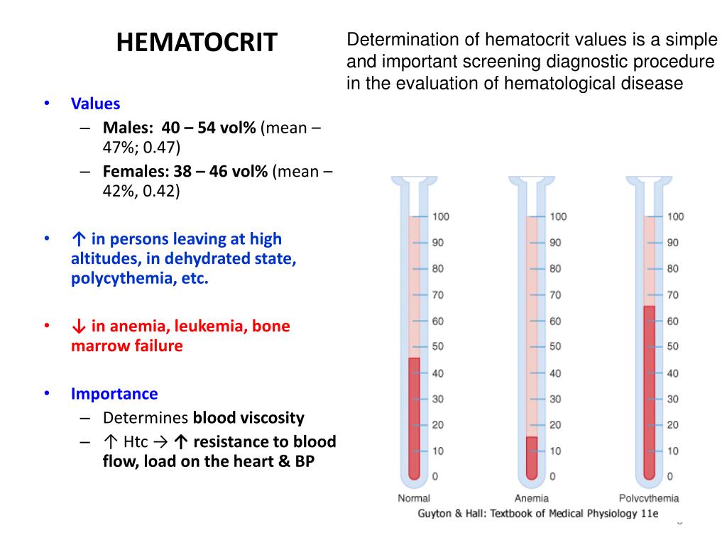 Ppt Blood 1 Composition Functions Rbc Powerpoint Presentation