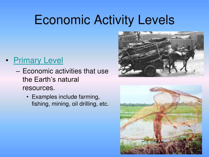 ppt economic activity levels powerpoint presentation id 1837855 primary economic activity