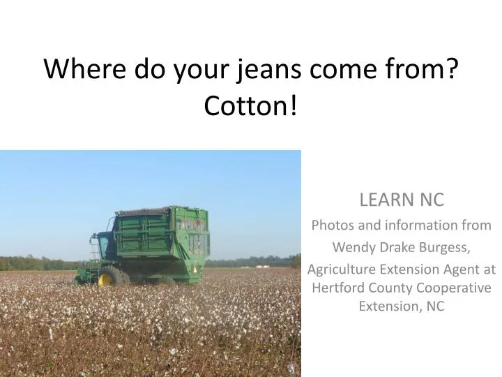 PPT Where do your jeans come from? Cotton! PowerPoint Presentation