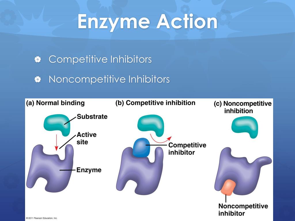 Action site. Competitive and non competitive inhibitors. Enzyme Active site. Competitive inhibitors examples. How substrates May bind in the Active site of an Enzyme.