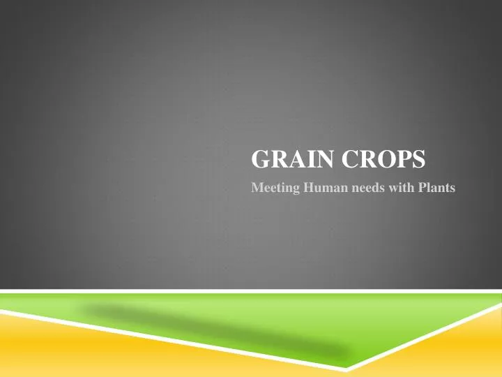 grain crops n.