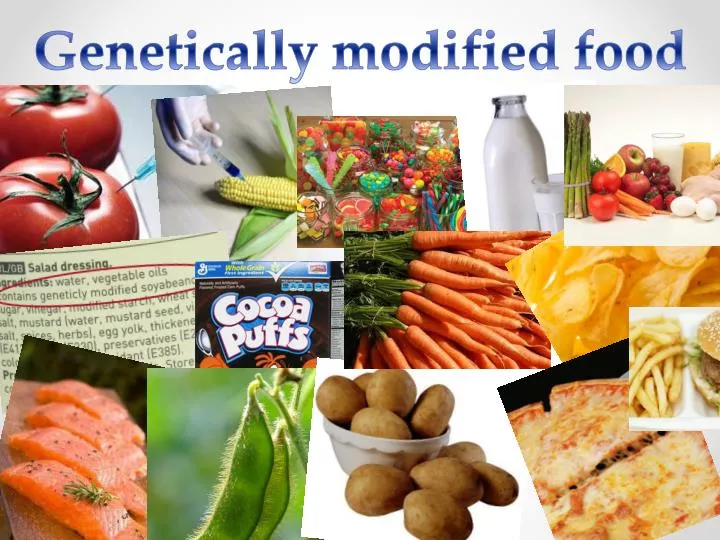 thesis statement on genetically modified foods