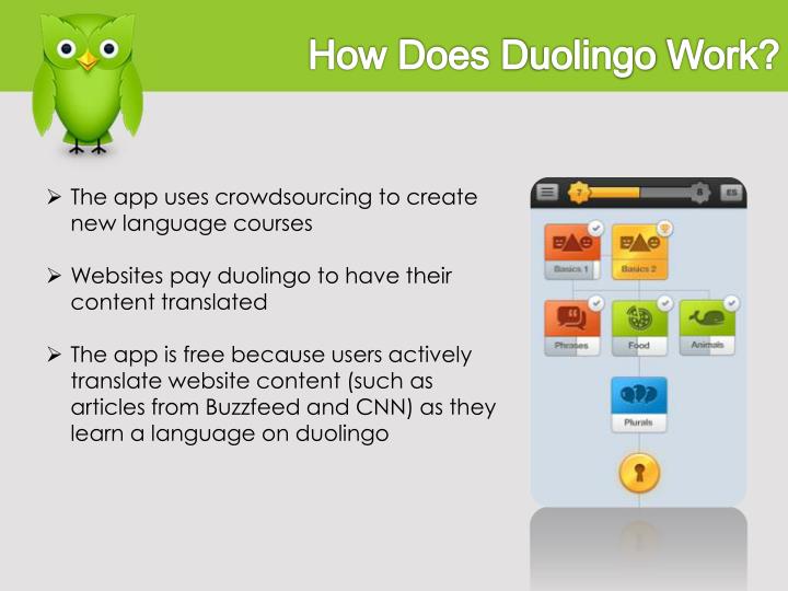 duolingo incubator maori