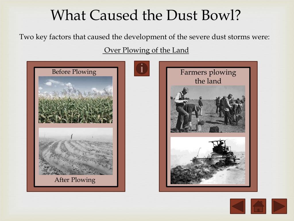 essay on what caused the dust bowl
