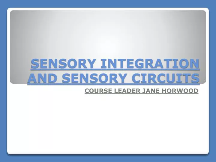 sensory integration and sensory circuits n.