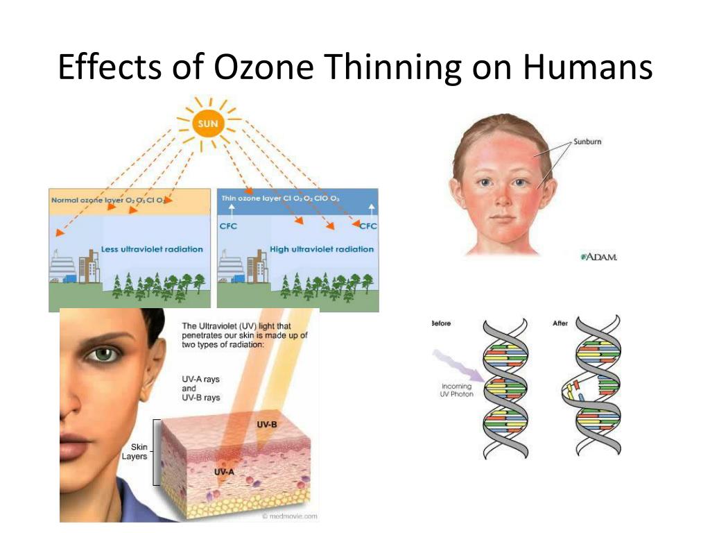 Ppt The Ozone Shield Powerpoint Presentation Free Download Id1842776