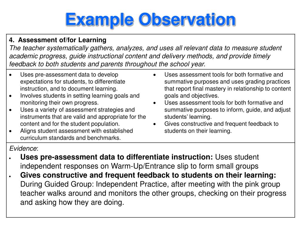 example of objective observation essay