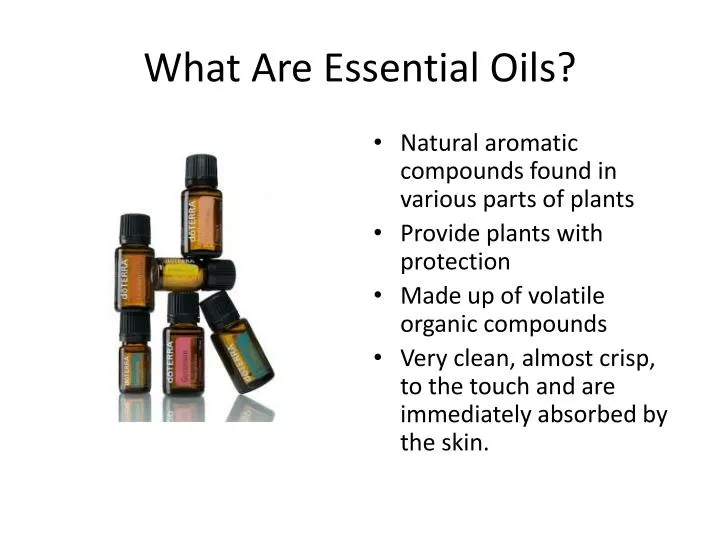 PPT What Are Essential Oils? PowerPoint Presentation, free download