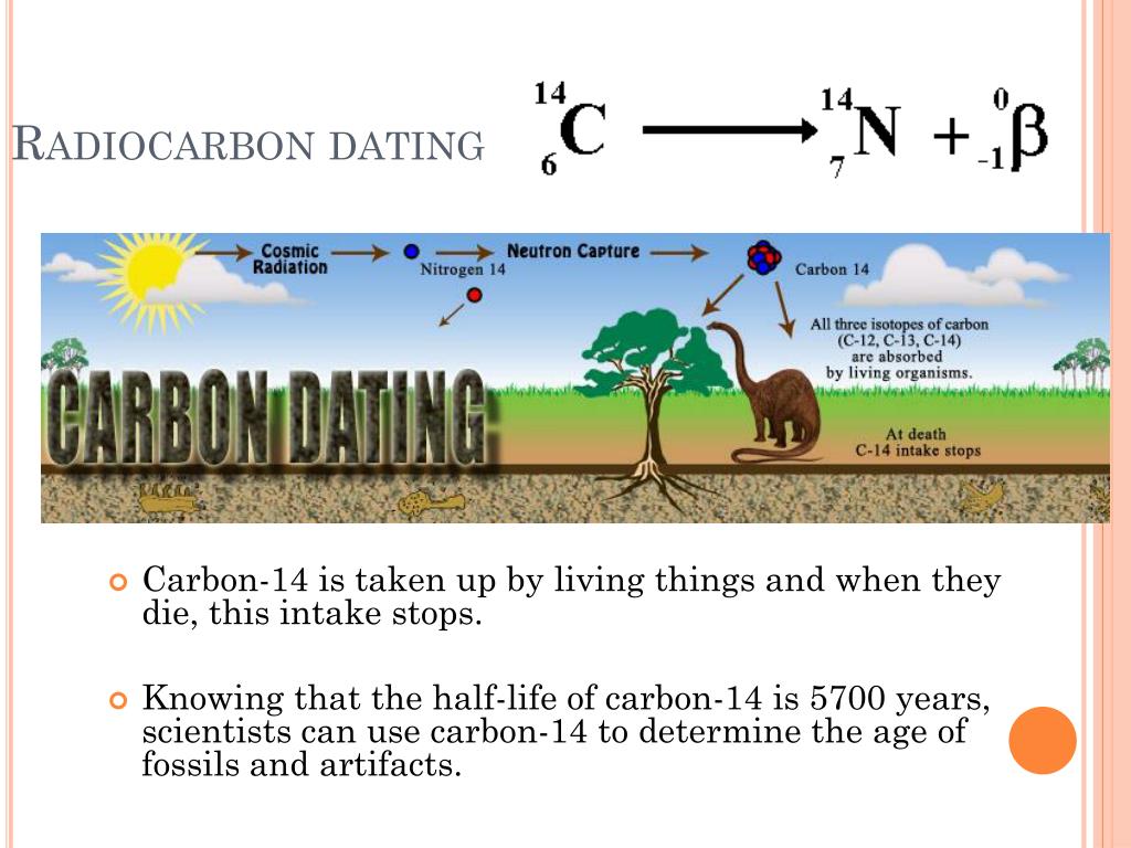 radiocarbon dating plants