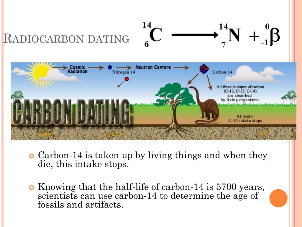 radiocarbon dating plants radiocarbon dating plants