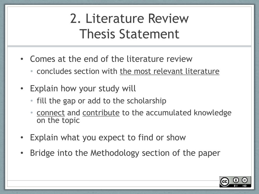 what is a review thesis