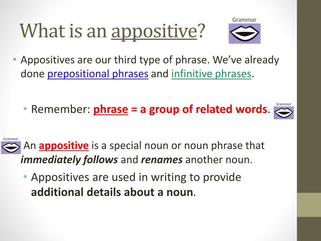 what is an appositive