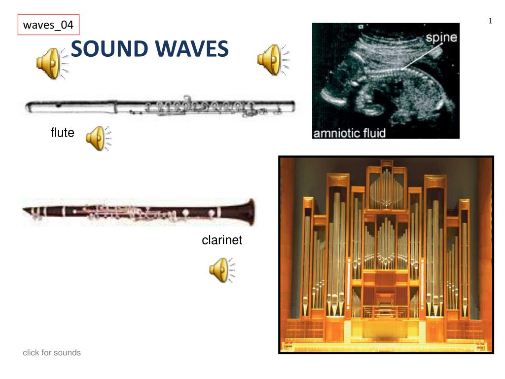 Waves and Sound Clickers - ppt download