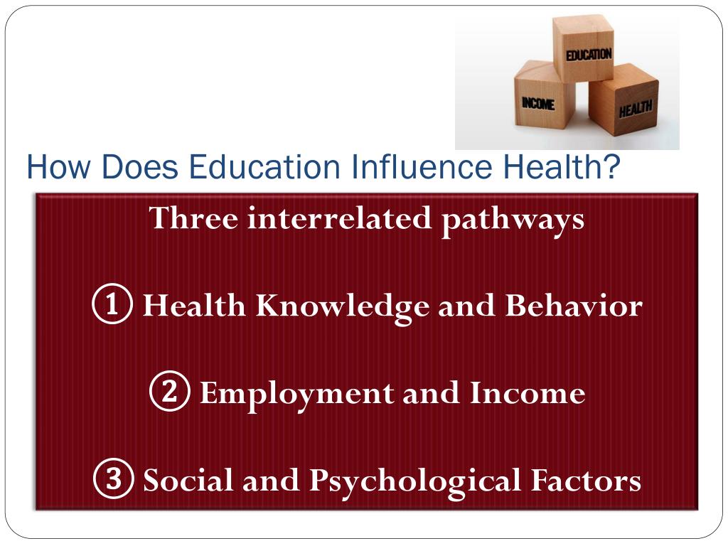 PPT Education Matters Education and Health PowerPoint