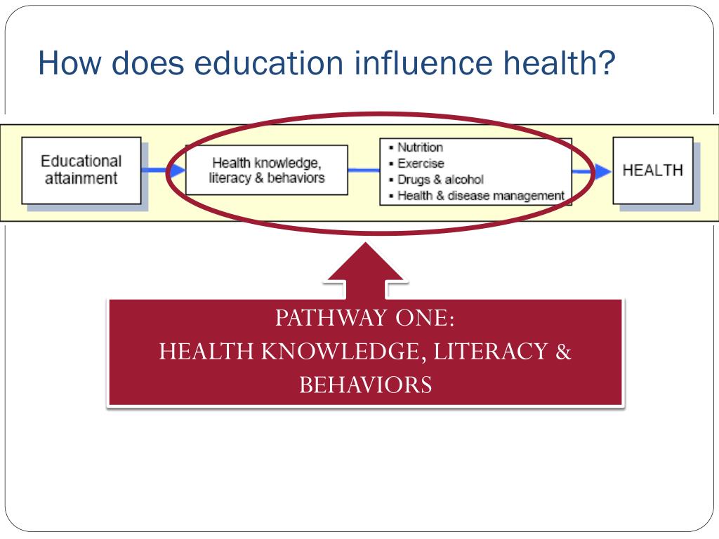 PPT Education Matters Education and Health PowerPoint
