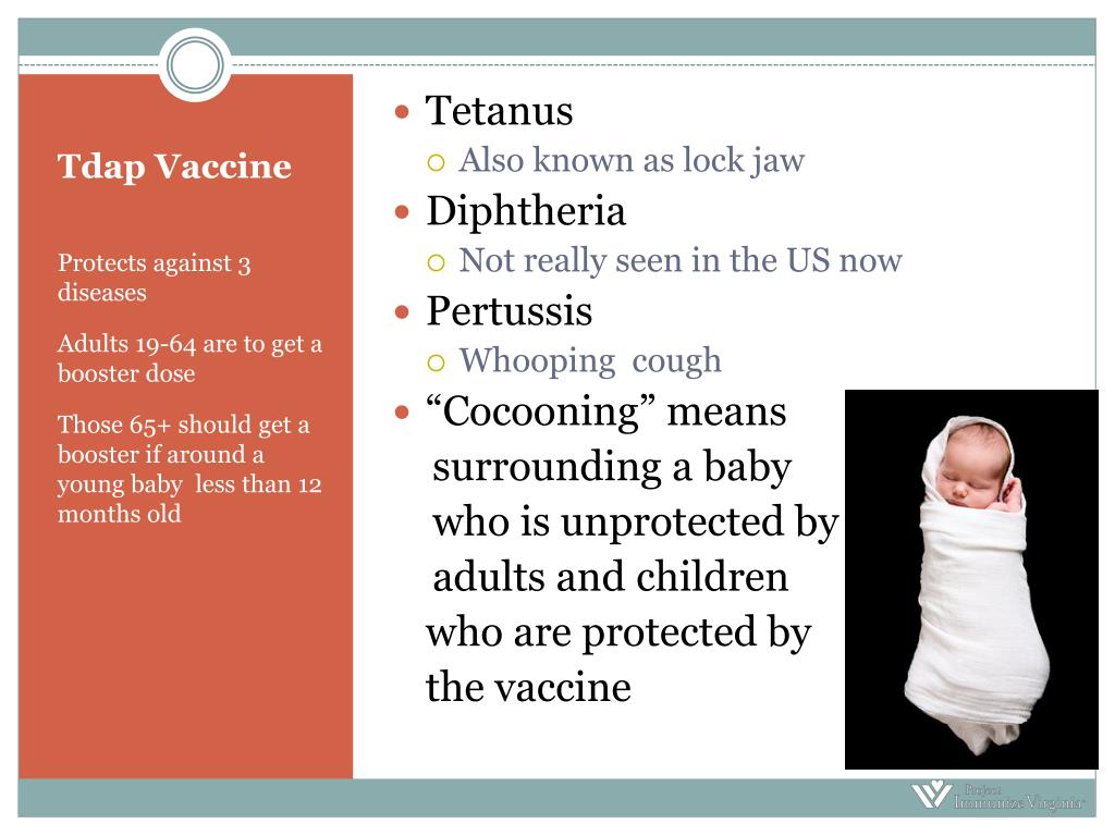 PPT - Adult Vaccines: PowerPoint Presentation, free ...