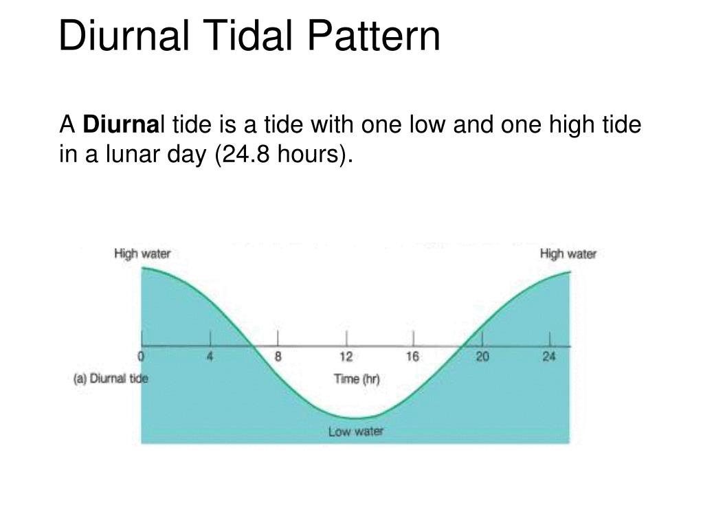 PPT Tides for Sea Kayakers PowerPoint Presentation, free download