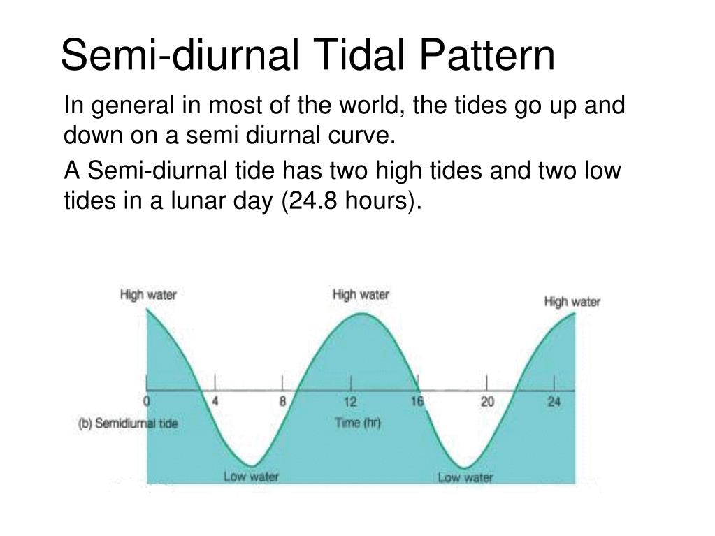 PPT Tides for Sea Kayakers PowerPoint Presentation, free download
