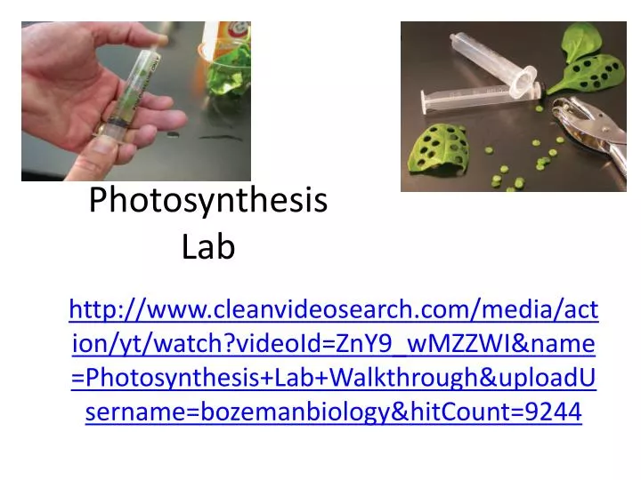 cam photosythesis lab Public lab, also known as the inexpensive ‘infragram’ camera lets you take a peek at photosynthesis a diy superblue filter, an infragram webcam. cam photosythesis lab Public lab, also known as the inexpensive ‘infragram’ camera lets you take a peek at photosynthesis a diy superblue filter, an infragram webcam.