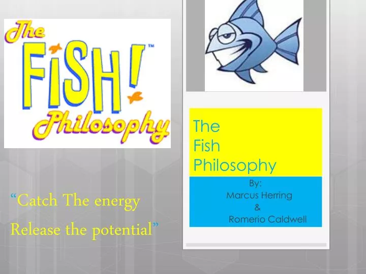 fish philosophy full video free download