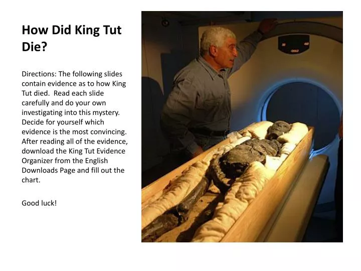 Tutankhamun How Did He Die