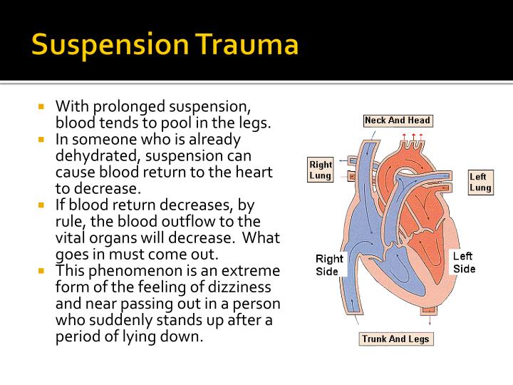 PPT How Did Jesus Die The Medicine Behind Jesus’ Death PowerPoint