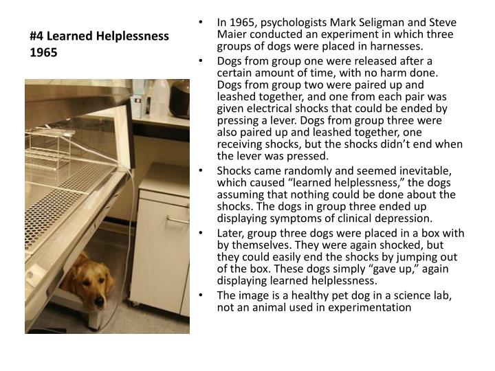 PPT Top 10 Psychological Experiments PowerPoint