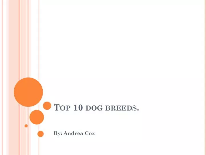 top 10 dog breeds n.