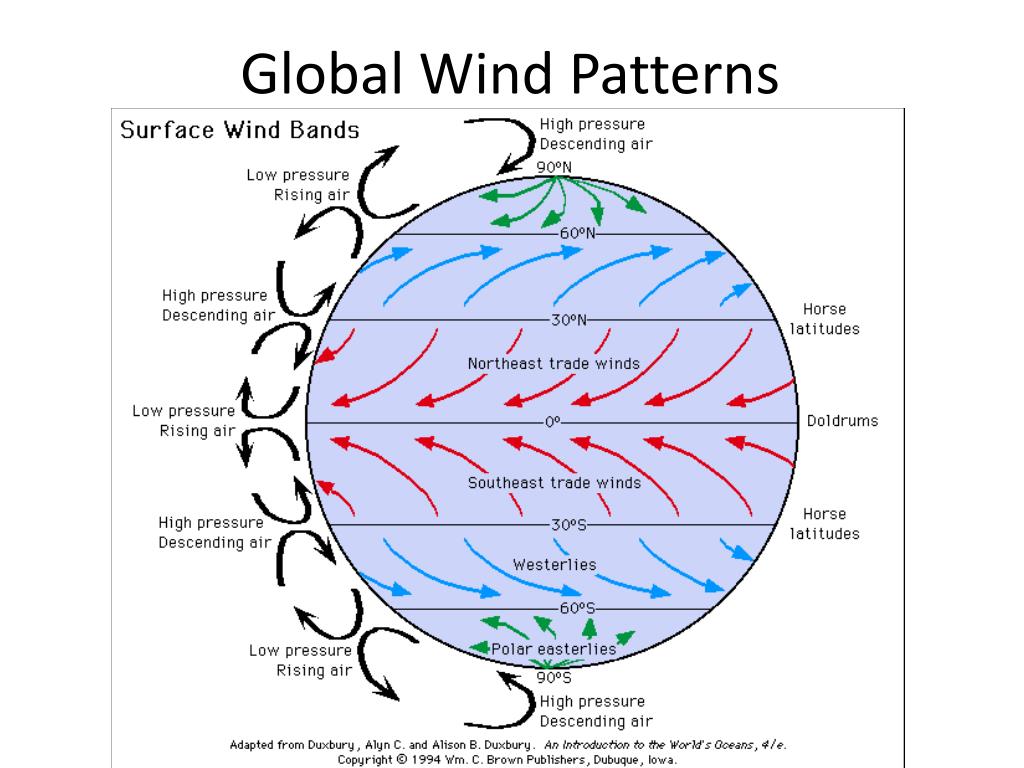 PPT Enduring Understanding PowerPoint Presentation Free Download 