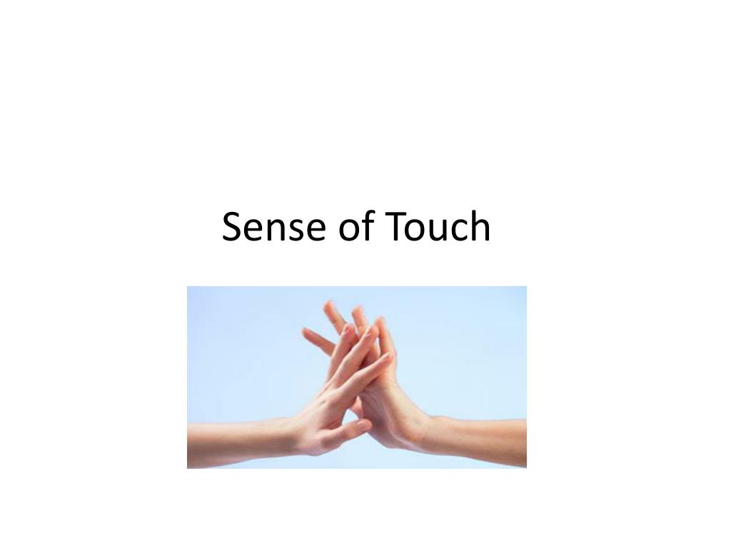 PPT - Sense of Touch PowerPoint Presentation, free download - ID