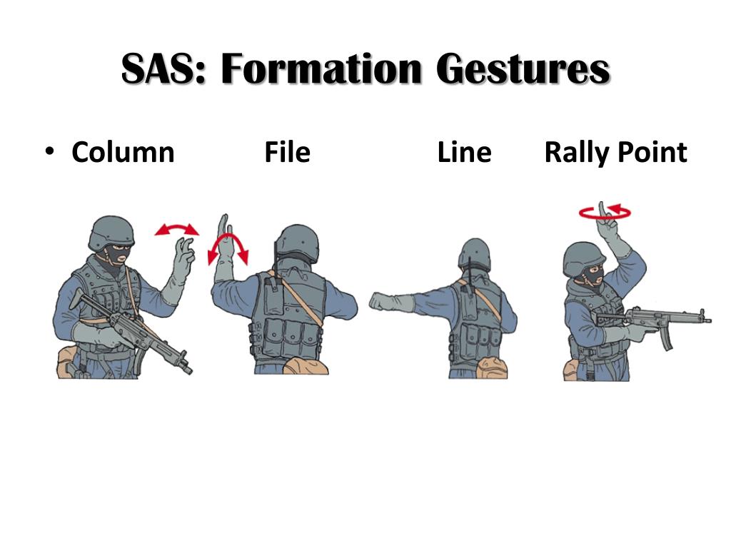 PPT - SAS: Sabre Squadron PowerPoint Presentation, free download -  ID:1858475
