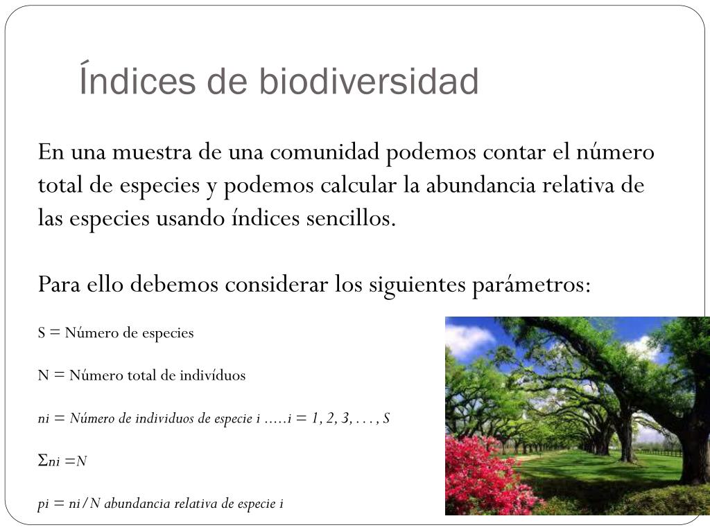 PPT - Métodos De Estudio De La Biodiversidad. PowerPoint Presentation ...